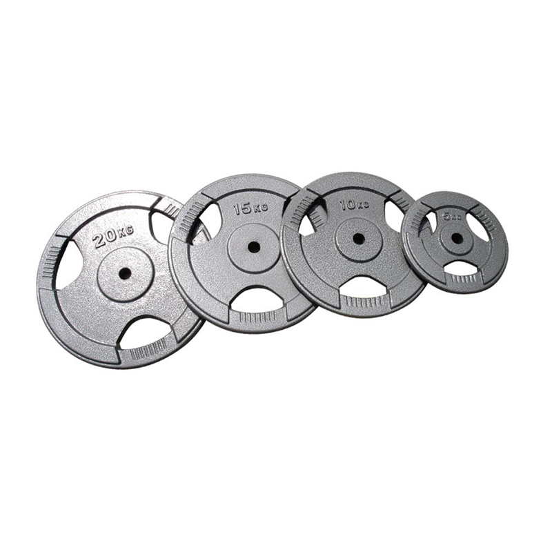 Cast Iron Weight Plate with Handle Cut